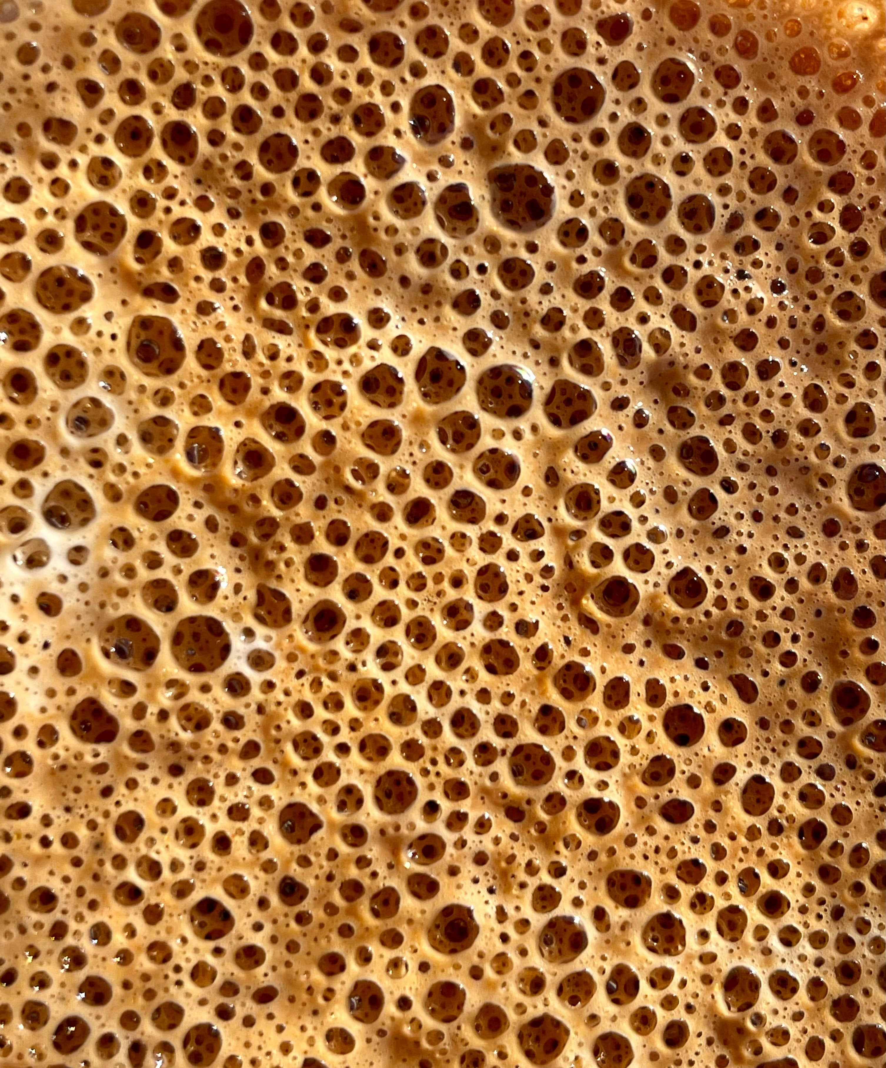 Closeup of golden fermentation bubbles on the surface of an active culture