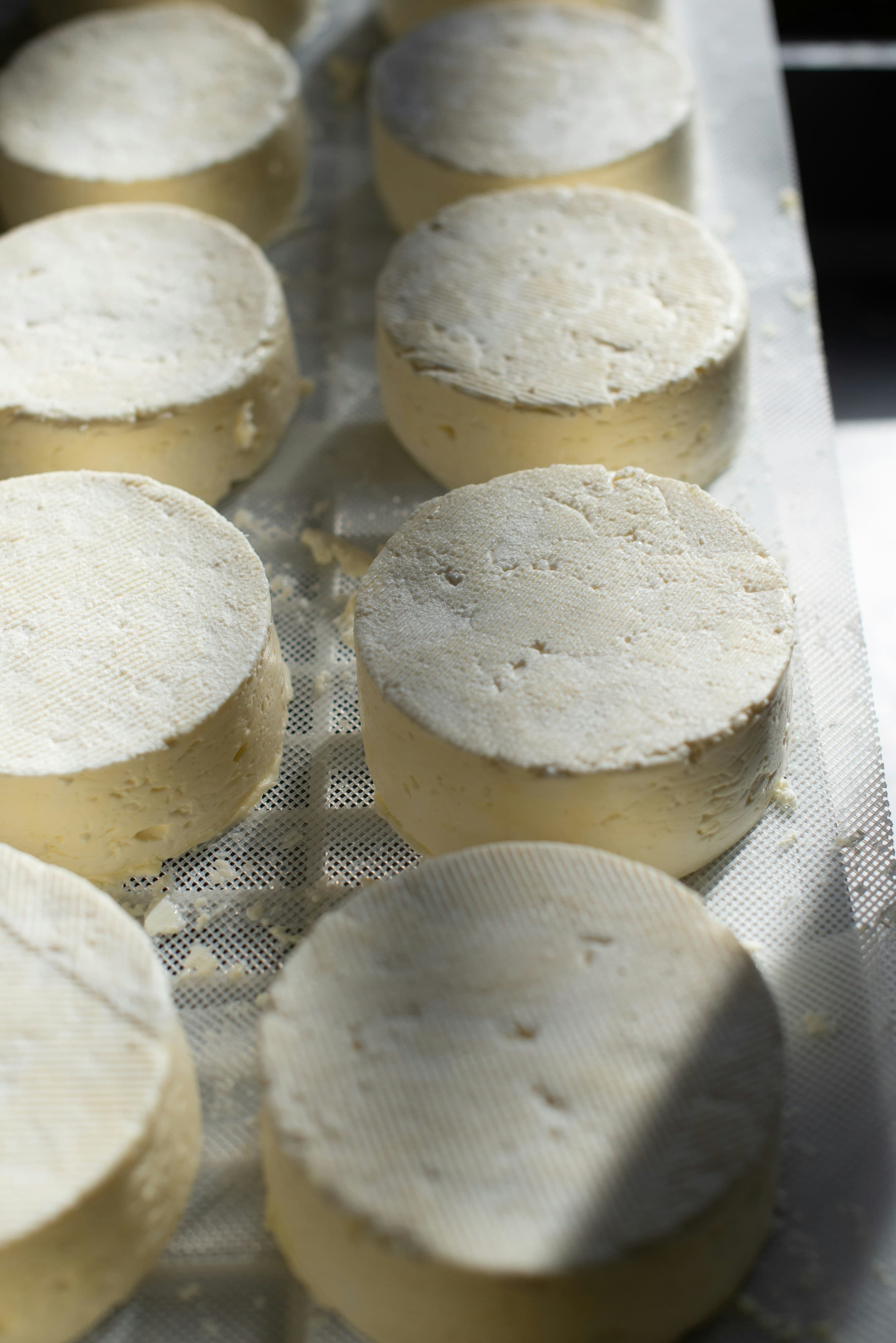 Homemade Cheese