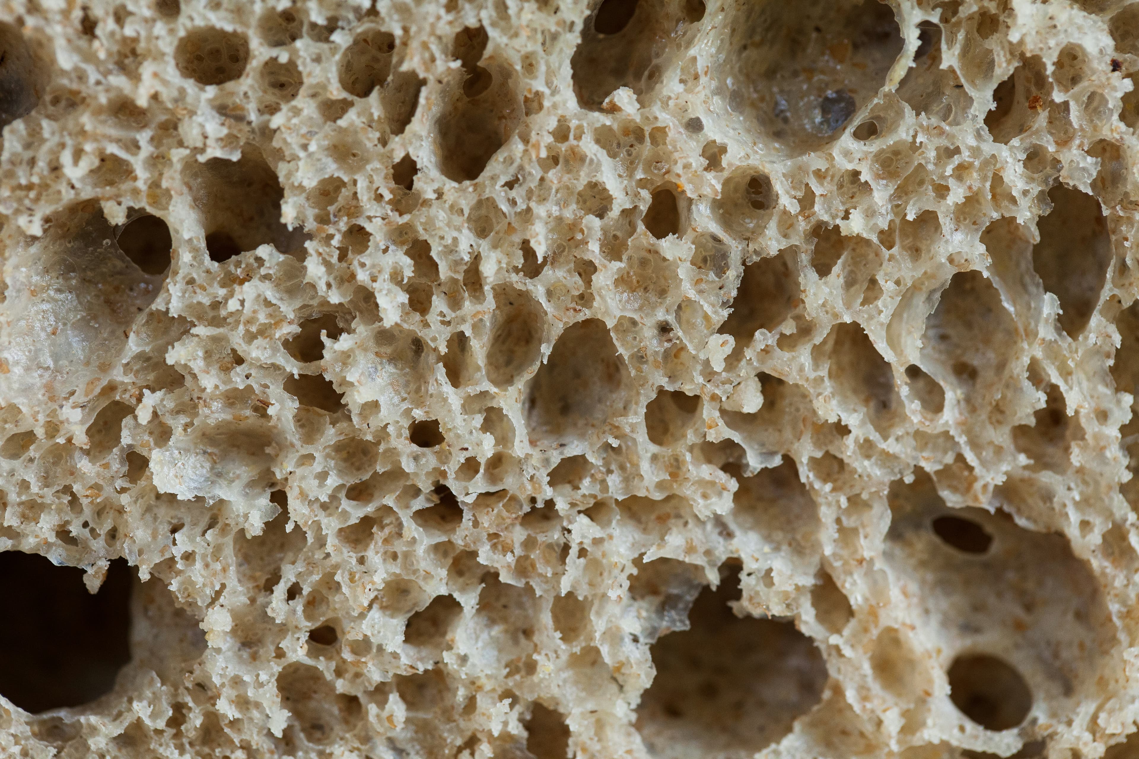 Closeup of artisan sourdough bread crust and open crumb texture